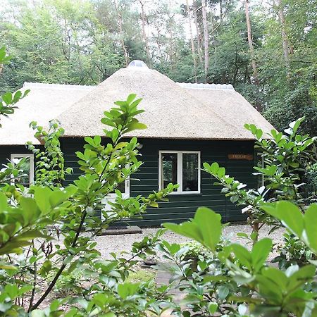 Vakantiehuis 'T Musje Epe Room photo