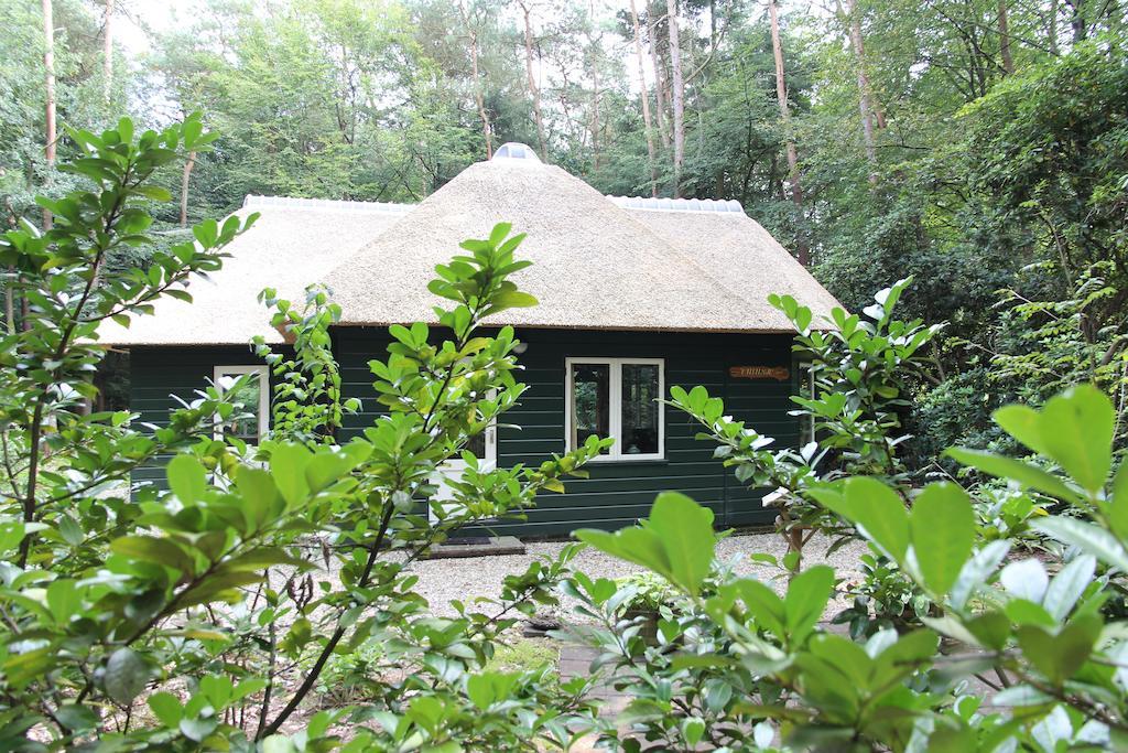 Vakantiehuis 'T Musje Epe Room photo